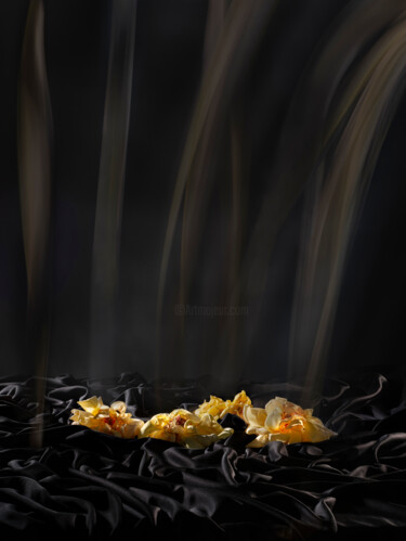摄影 标题为“Floral Blaze” 由Pietro Cenini, 原创艺术品, 数码摄影