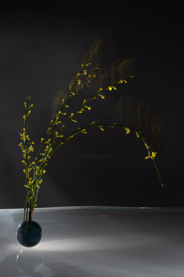 Fotografia zatytułowany „Flaming Light” autorstwa Pietro Cenini, Oryginalna praca, Fotografia cyfrowa