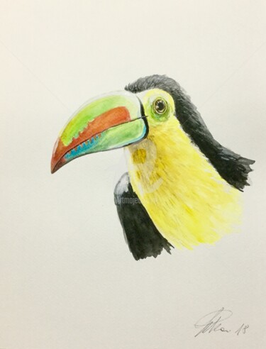 Painting titled "Tucan" by Pietro Mari, Original Artwork, Watercolor