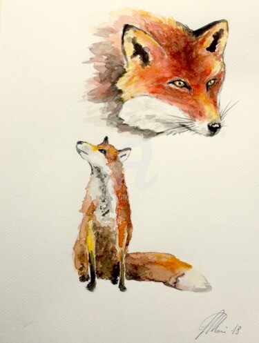 Pintura titulada "FOX" por Pietro Mari, Obra de arte original, Acuarela