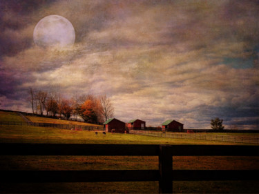 Arts numériques intitulée "Hillbilly Farm" par Pine Singer, Œuvre d'art originale