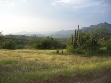 Fotografía titulada "el paisaje sahuaro" por Pinnini, Obra de arte original