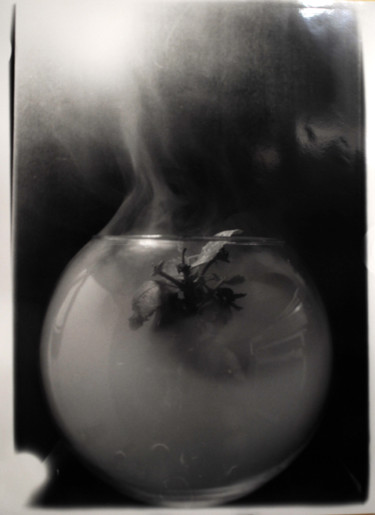 Fotografia intitolato "Incubo di Greta Thu…" da Alexandre Oneil, Opera d'arte originale, fotografia a pellicola