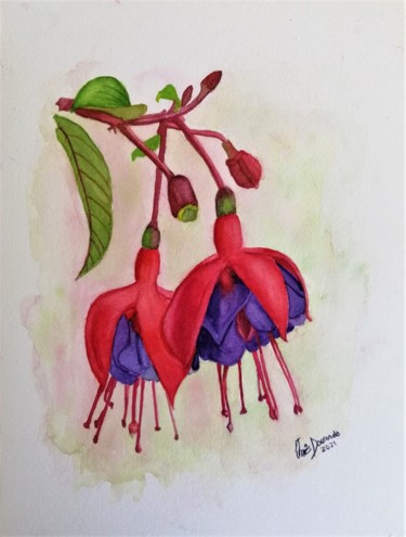 Brincos de Rainha Pintura intitulada "Brincos de Rainha" por Inês Dourado, Obras de arte originais, Aquarela