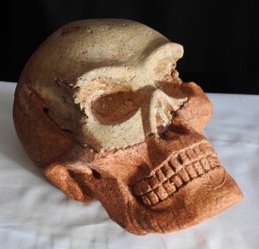 Sculpture intitulée "skull #13#" par Pio30, Œuvre d'art originale, Plâtre