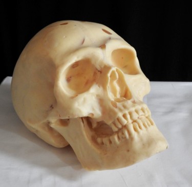 Escultura titulada "#Skull16#" por Pio30, Obra de arte original, Resina