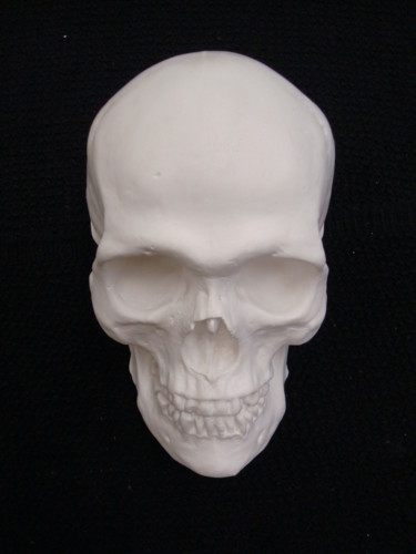 Scultura intitolato "#Skull White#" da Pio30, Opera d'arte originale, Ceramica