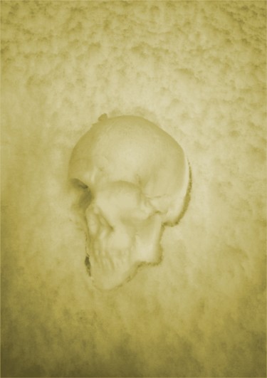 Sculpture titled "#Snow Skull#" by Pio30, Original Artwork, Other