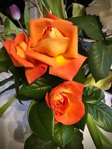 Photography titled "“Orange Rose”" by Pio30, Original Artwork, Digital Photography