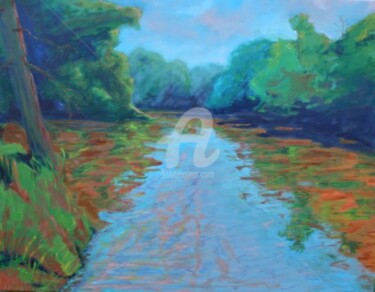 Painting titled "Des Plaines River i…" by Piotr, Original Artwork