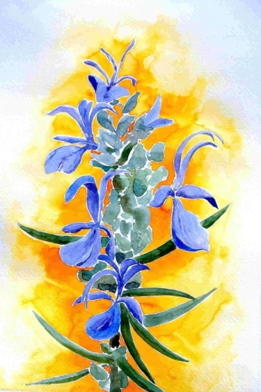 Peinture intitulée "flor de romero" par Pipo Jost Nicolas, Œuvre d'art originale, Aquarelle