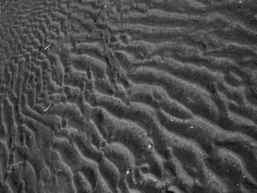 Fotografia intitolato "Sand hairs" da Andrea Pistoni, Opera d'arte originale