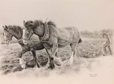 Drawing titled "Ploughing." by Jane Hassall, Original Artwork, Pencil