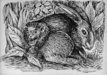 Zeichnungen mit dem Titel "Lapin chasseur" von Patrick Jannin, Original-Kunstwerk, Tinte