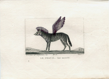 Dessin intitulée "Le Chacal" par Patrick Jannin, Œuvre d'art originale, Autre