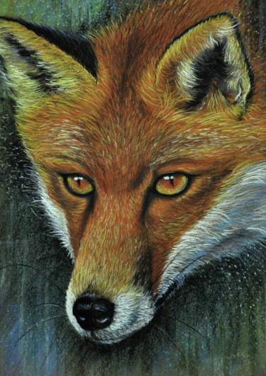 Peinture intitulée "The Fox" par Pascal Lampecco, Œuvre d'art originale, Pastel