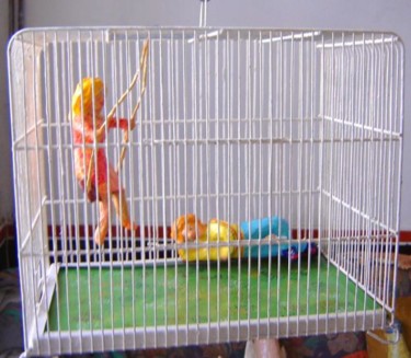 Sculpture intitulée "La cage aux oisifs" par La Plasticerie, Œuvre d'art originale