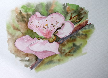 Painting titled "Fleur de Pécher" by Bernadette Grelier, Original Artwork, Watercolor