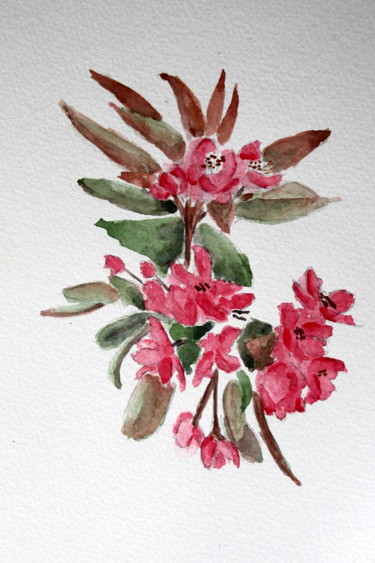 Painting titled "Fleur de Prunus" by Bernadette Grelier, Original Artwork, Watercolor