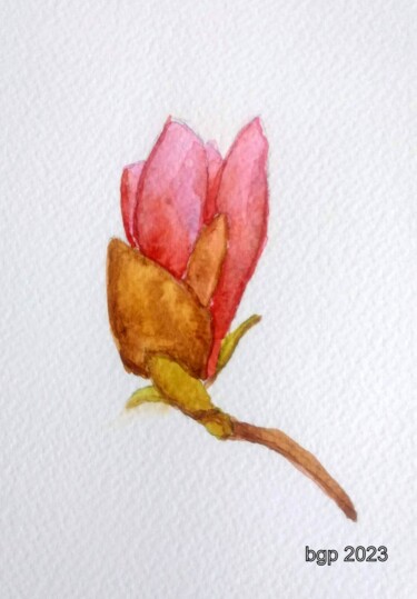 Painting titled "Bouton de magnolia" by Bernadette Grelier, Original Artwork, Watercolor