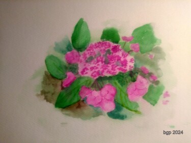 Картина под названием "Hydrangea" - Bernadette Grelier, Подлинное произведение искусства, Акварель