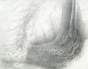 Drawing titled "salcovercopy.jpg" by Rob Jackson, Original Artwork