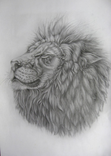 Рисунок под названием "Лев" - Helen Arts, Подлинное произведение искусства, Карандаш