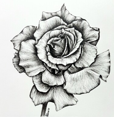 Drawing titled "Rose" by Polina Turgunova, Original Artwork, Ink