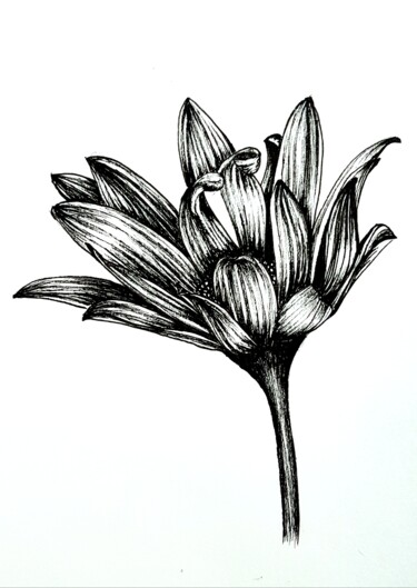 Dessin intitulée "Ink Flower" par Polina Turgunova, Œuvre d'art originale, Encre