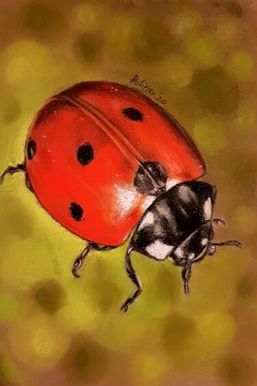 Dessin intitulée "Ladybug" par Polina Turgunova, Œuvre d'art originale, Pastel