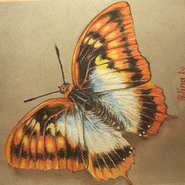 Drawing titled "Butterfly" by Polina Turgunova, Original Artwork, Pastel