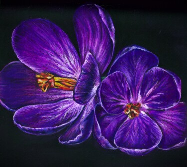Disegno intitolato "Purple Crocuses" da Polina Turgunova, Opera d'arte originale, Pastello