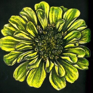 Drawing titled "Green Envy Zinnia" by Polina Turgunova, Original Artwork, Pastel