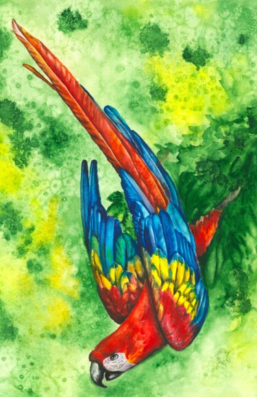 Peinture intitulée "Scarlet Macaw" par Polina Turgunova, Œuvre d'art originale, Aquarelle