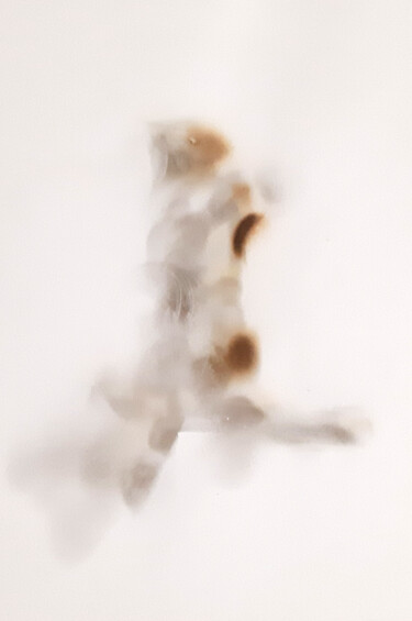 Painting titled "Squirrel (painting…" by Poly, Original Artwork, Charcoal Mounted on Other rigid panel