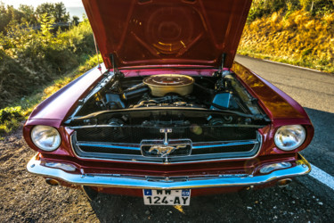 Photographie intitulée "Naked Mustang" par Polygone, Œuvre d'art originale