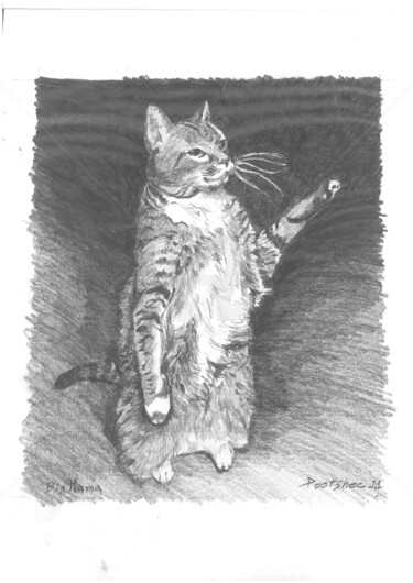 Dessin intitulée "Mama Kitty" par Pootshee, Œuvre d'art originale, Graphite