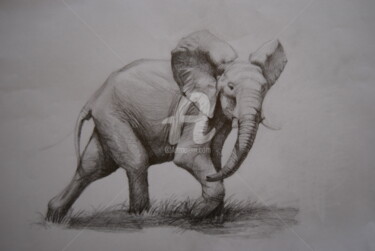 Dibujo titulada "Elephant" por Pedro Portela, Obra de arte original, Lápiz