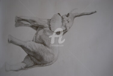 Drawing titled "Elephant" by Pedro Portela, Original Artwork, Pencil