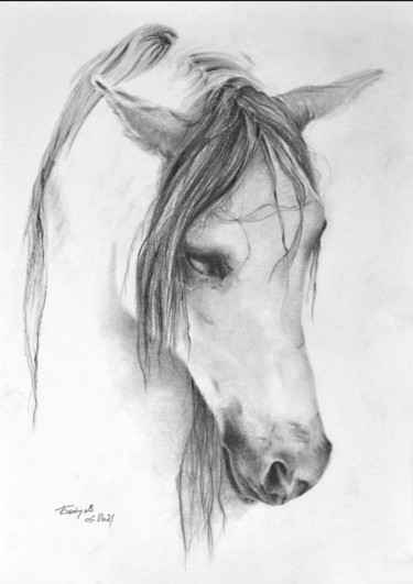 Valenсia. Inviting beauty. Tekening getiteld "Valenсia. Inviting…" door Alexander Boytsov, Origineel Kunstwerk, Potlood