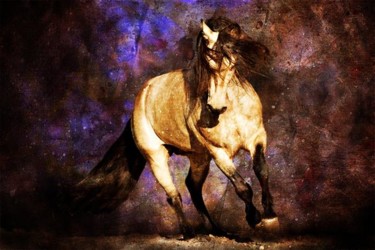 Photography titled "Equus" by Deirdre Teasley, Original Artwork