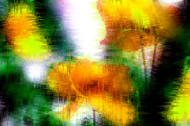 Digitale Kunst mit dem Titel "poppies in the world" von Sigrid Gombert, Original-Kunstwerk, Digitale Malerei
