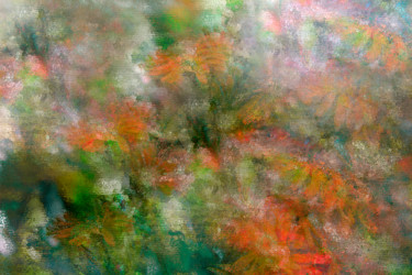 Digital Arts titled "Fleurs deja vu" by Sigrid Gombert, Original Artwork, Digital Painting