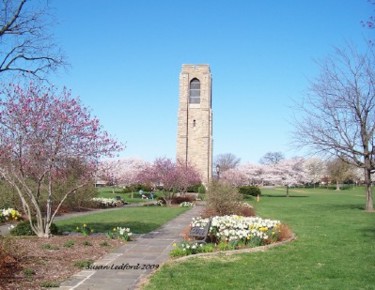 Photography titled "Carillion Tower w/…" by Susan Ledford, Original Artwork