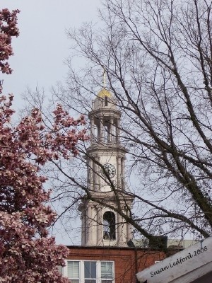 Photography titled "Spire through the T…" by Susan Ledford, Original Artwork