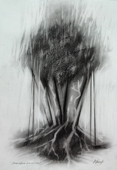 Dibujo titulada "echar raíces" por Pablo Quert, Obra de arte original, Conté
