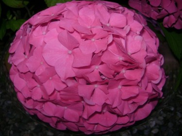 Photography titled "Pink Floral Ball" by Priya Gole, Original Artwork