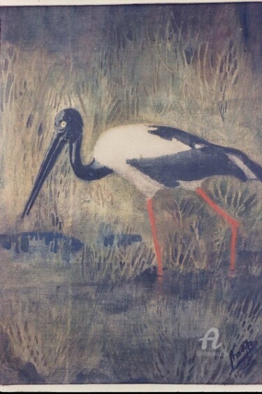 Painting titled "Black necked stork" by Prodip Kumar Sengupta, Original Artwork, Watercolor
