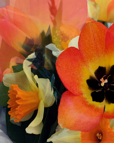 "Color Me Floral" başlıklı Fotoğraf Patricia Schnepf tarafından, Orijinal sanat, Dijital Fotoğrafçılık