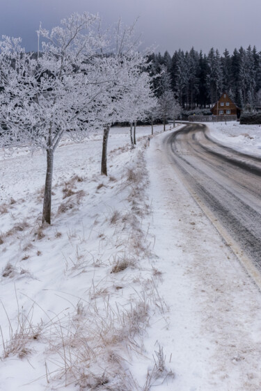 Fotografie mit dem Titel "Winter road" von Dimitri Propp, Original-Kunstwerk, Digitale Fotografie